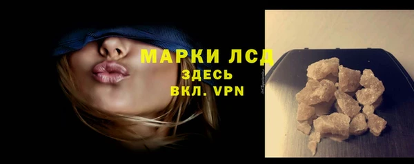гидра Абаза
