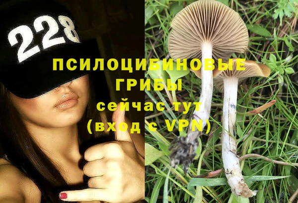 гидра Абаза