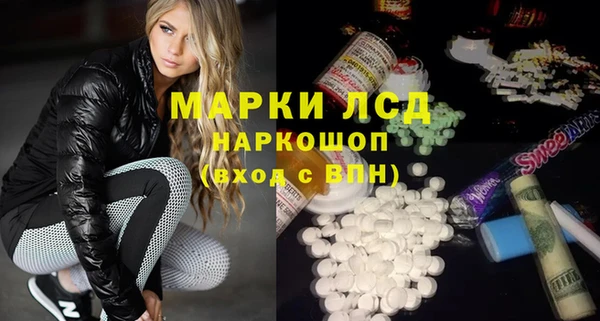 гидра Абаза
