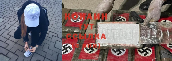 гидра Абаза