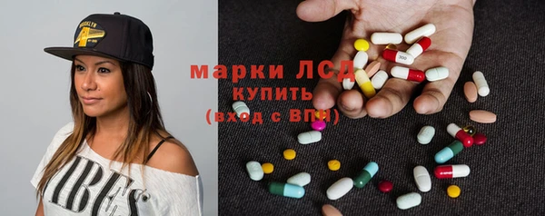 гидра Абаза