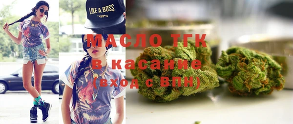 гидра Абаза