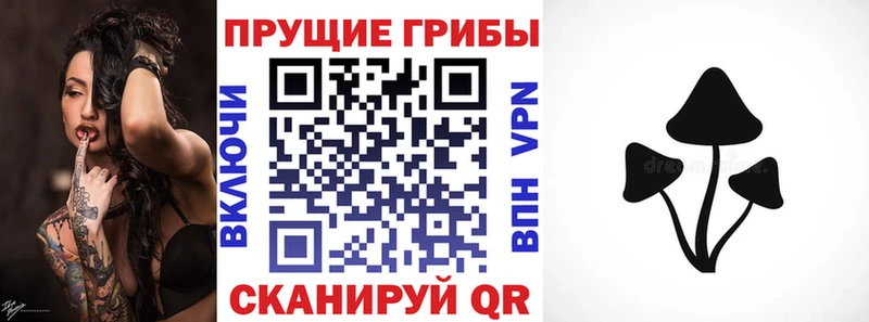 Галлюциногенные грибы ЛСД где продают наркотики Советская Гавань